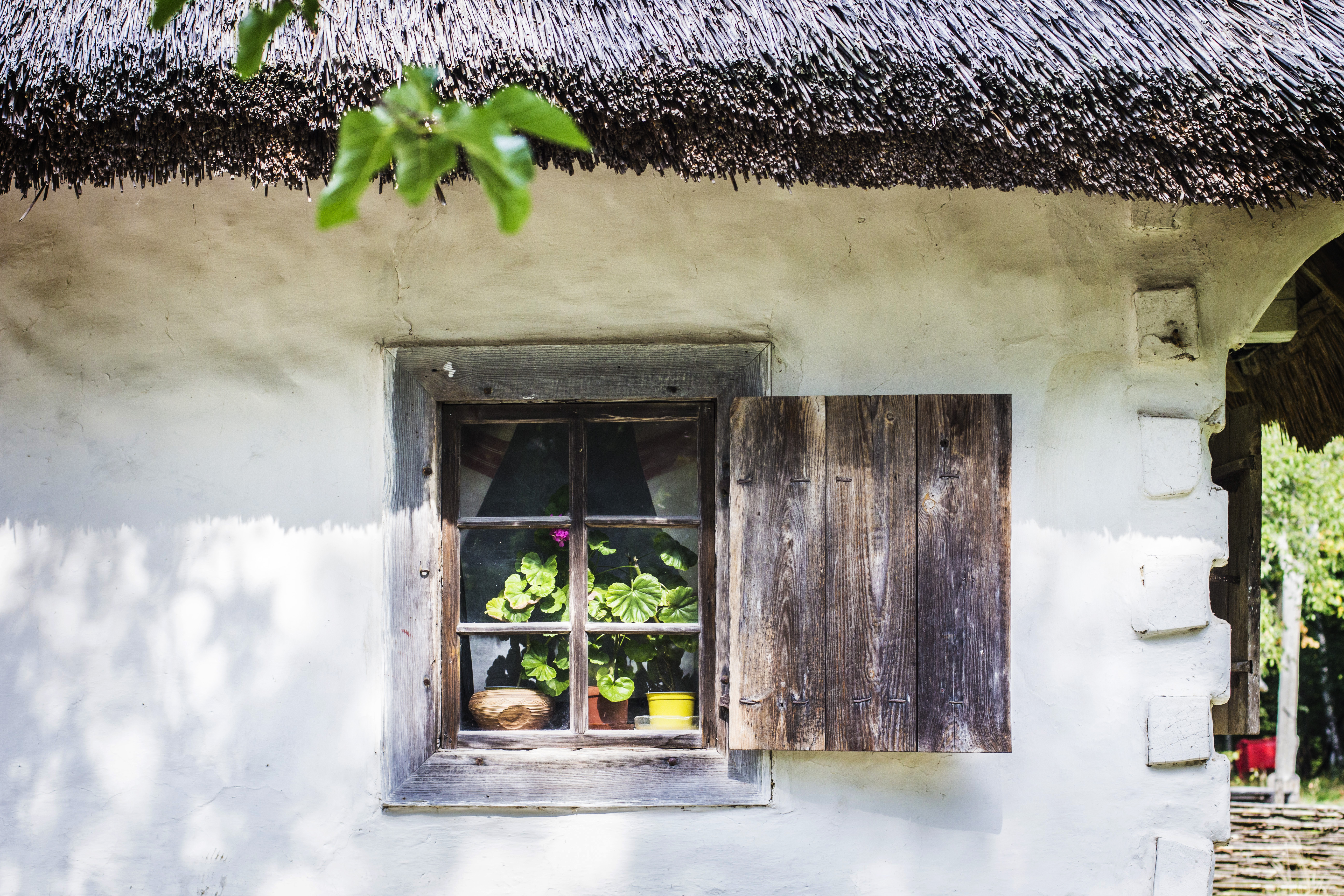 White limewashed exterior wall with wooden window — the natural texture of traditional lime-based paint on masonry